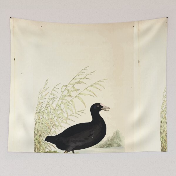 Item preview, British ornithology  being the history with a coloured representation of every known species of British birds George Graves 1821 088 designed and sold by WetdryvacRB01.