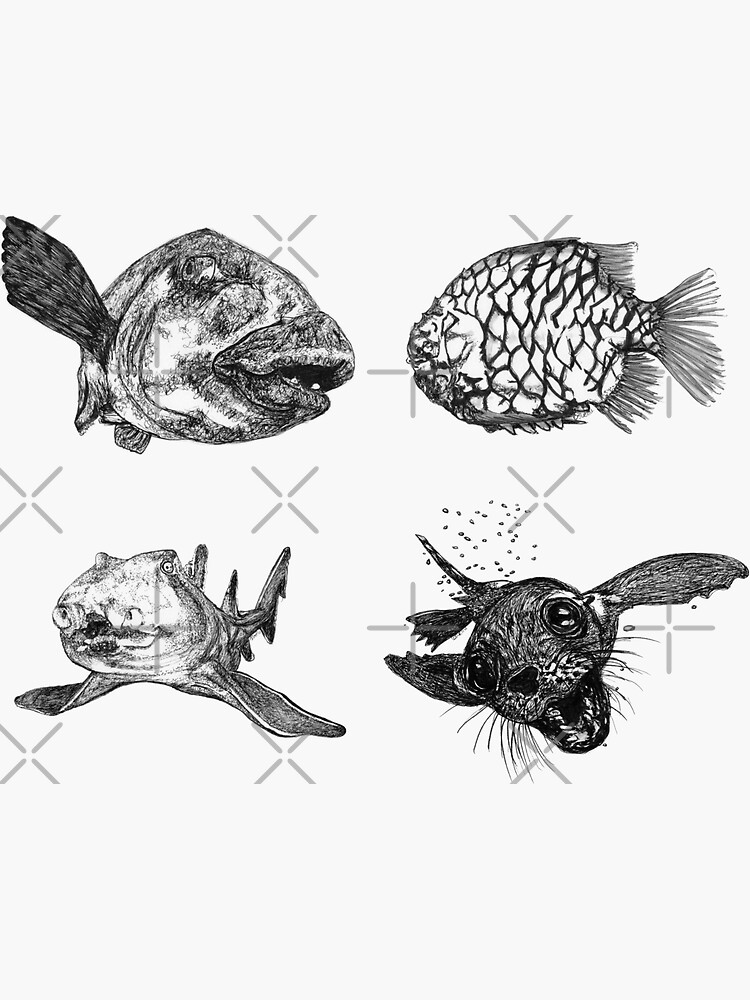Sea 4 -Blue Groper, Pineapple Fish, Port Jackson and Seal x 4 by Wildcard-Sue