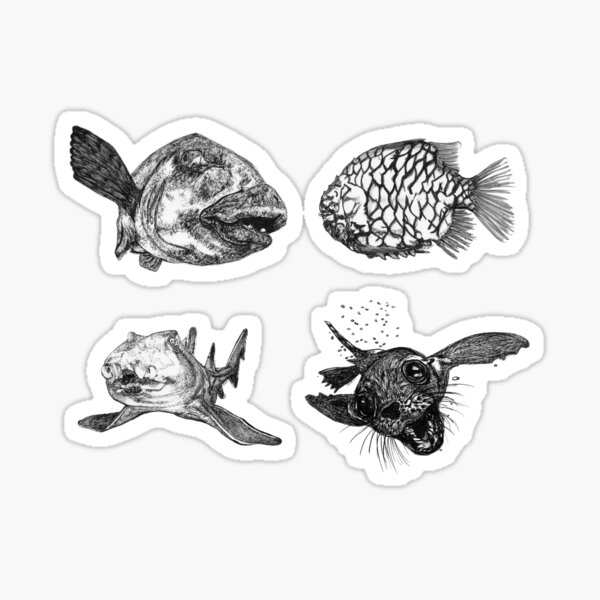 Sea 4 -Blue Groper, Pineapple Fish, Port Jackson and Seal x 4 Sticker