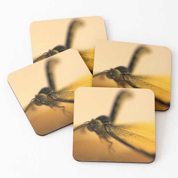 Item preview, Touch Down designed and sold by ShotsOfLove.