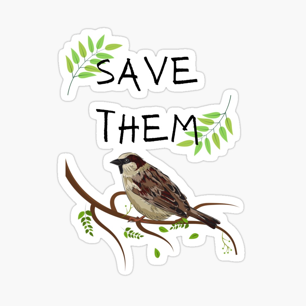 Save sparrow Drawing / Sparrow Day poster drawing / conservation and  protection of sparrows drawing - YouTube