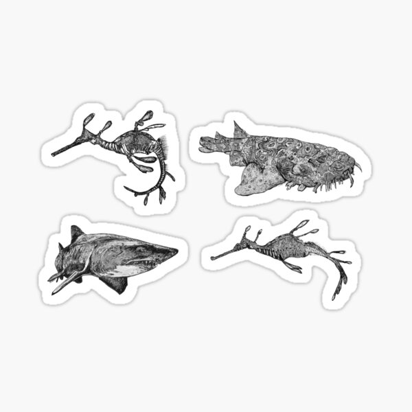 Sea 6-Sea Dragons and Sharks x 4 Sticker