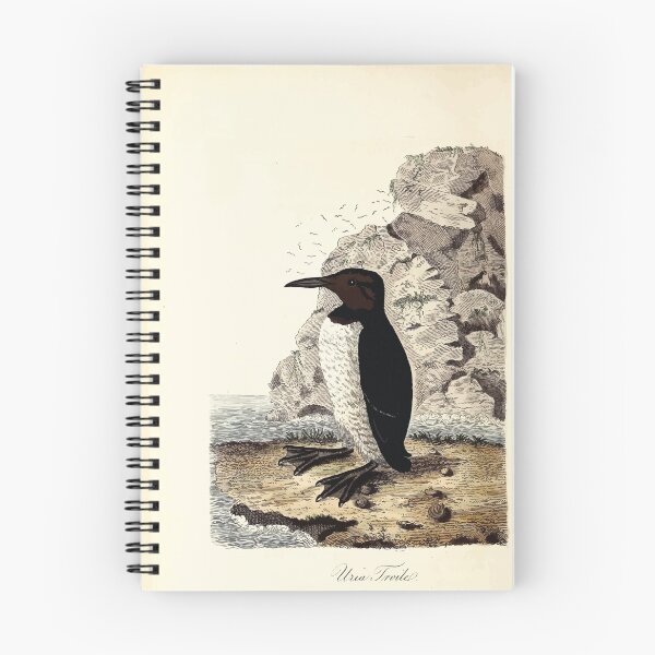 Item preview, British ornithology  being the history with a coloured representation of every known species of British birds George Graves 1821 089 designed and sold by WetdryvacRB01.