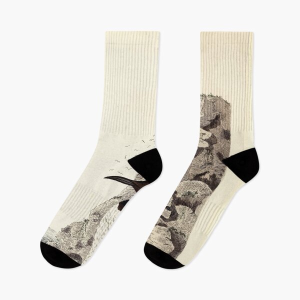 Item preview, British ornithology  being the history with a coloured representation of every known species of British birds George Graves 1821 089 designed and sold by WetdryvacRB01.