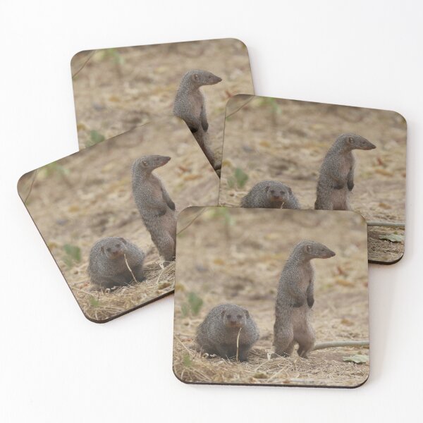 Item preview, Banded Mongoose couple designed and sold by Wouter van Spijker.