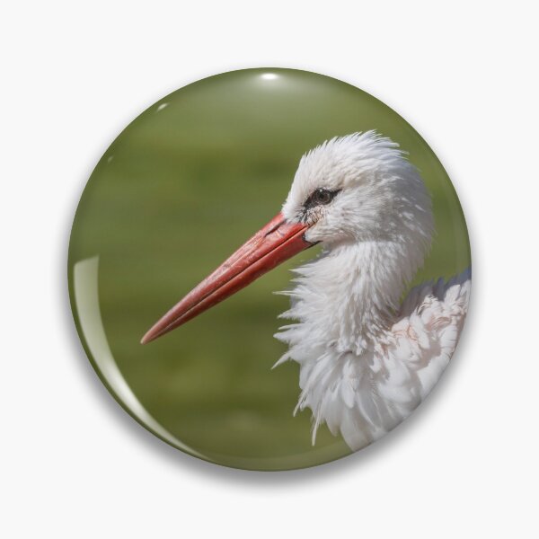 Item preview, White stork designed and sold by pietrofoto.