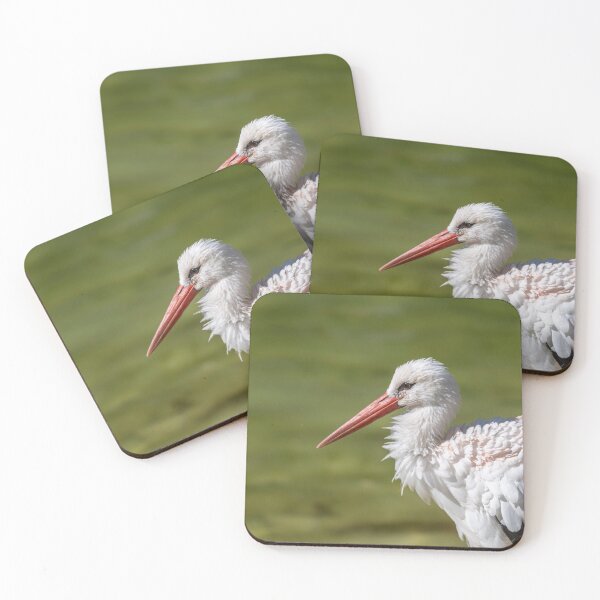 Item preview, White stork designed and sold by pietrofoto.