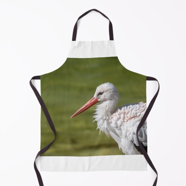 Item preview, White stork designed and sold by pietrofoto.