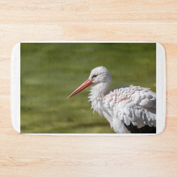 Item preview, White stork designed and sold by pietrofoto.