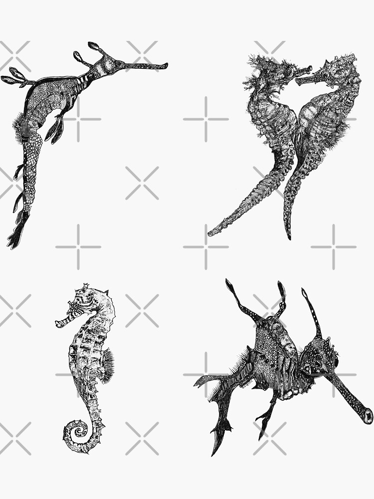 Sea 7-Sea Dragons and Seahorses x 4 by Wildcard-Sue
