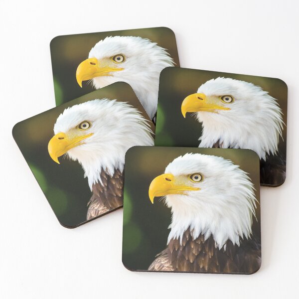Item preview, Brown Eagle designed and sold by Laura Vancleave.