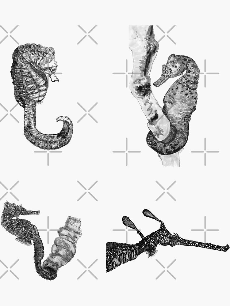 Sea 8- Seahorses and Sea Dragon x 4 by Wildcard-Sue