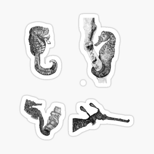 Sea 8- Seahorses and Sea Dragon x 4 Sticker