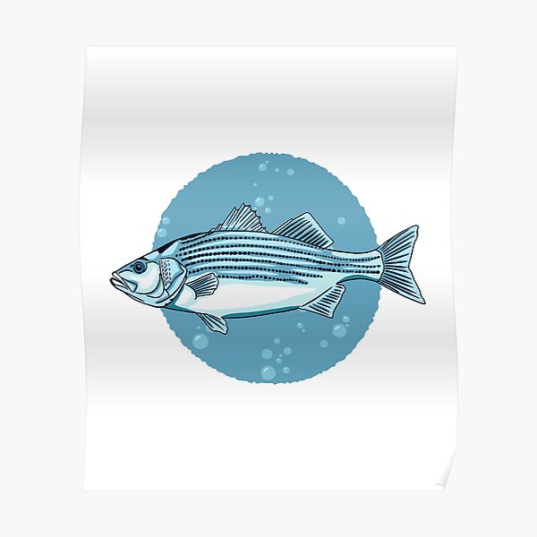 Tidewater Fishing  Print  art decor print vintage style  rockfish chesapeake md 