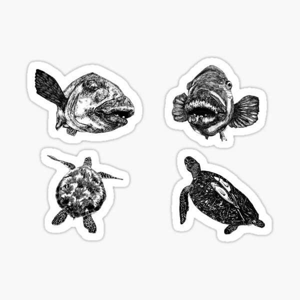 Sea 9 - Turtles and Blue Groper x 4 Sticker