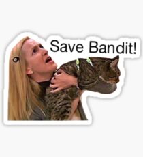 Save bandit Sticker