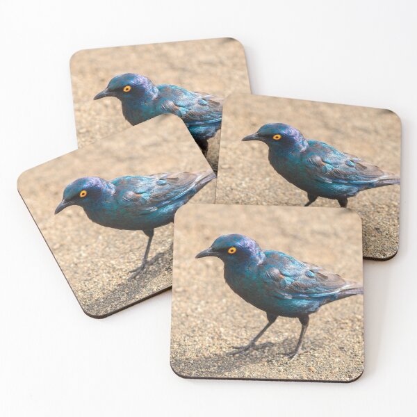 Item preview, Cape Starling designed and sold by JoshdorArt.