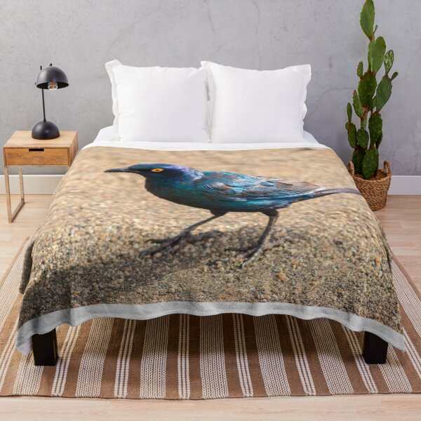 Item preview, Cape Starling designed and sold by JoshdorArt.