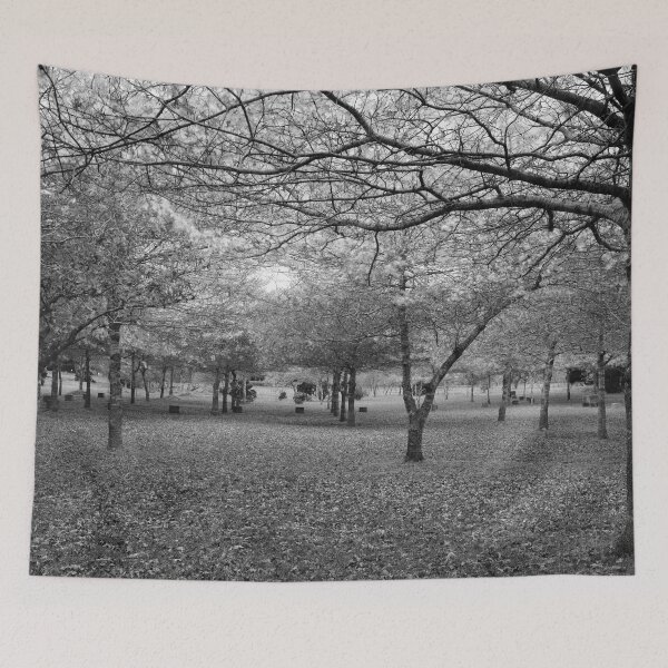 Item preview, Serene landscape with trees designed and sold by Gaspar Avila.