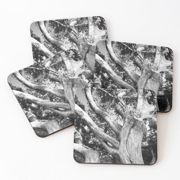 Item preview, Black and white tree designed and sold by Gaspar Avila.
