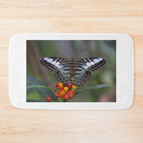 Item preview, Clipper butterfly designed and sold by pietrofoto.