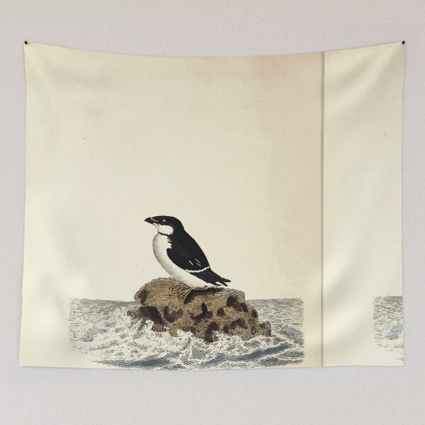 Item preview, British ornithology  being the history with a coloured representation of every known species of British birds George Graves 1821 091 designed and sold by WetdryvacRB01.