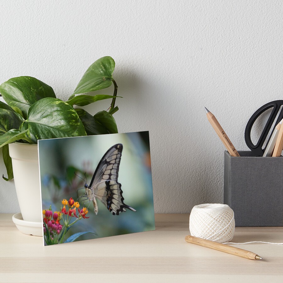 Item preview, Art Board Print designed and sold by pietrofoto.