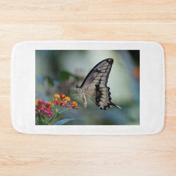 Item preview, Citrus swallowtail butterfly designed and sold by pietrofoto.