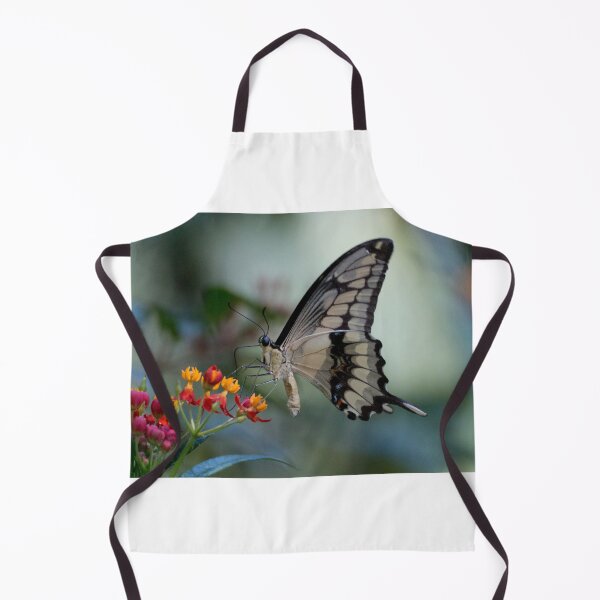 Item preview, Citrus swallowtail butterfly designed and sold by pietrofoto.