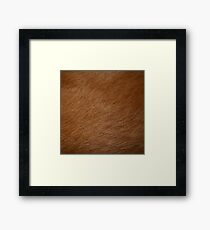 DOG FUR Framed Print