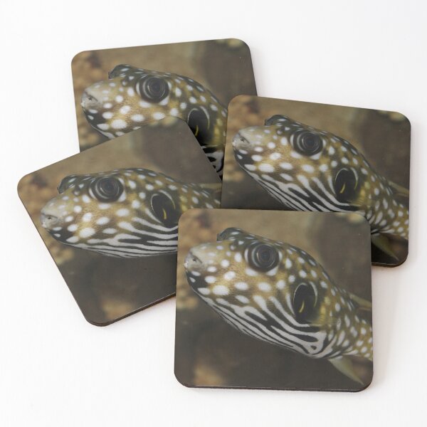 Item preview, The Colorful Fish designed and sold by Cynthia48.