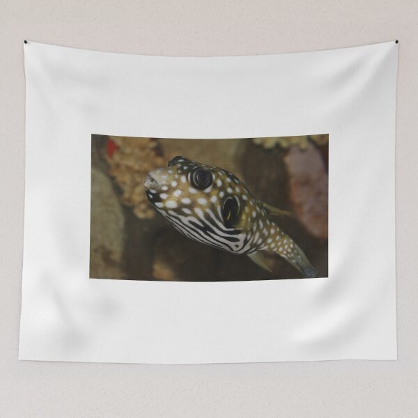 Item preview, The Colorful Fish designed and sold by Cynthia48.