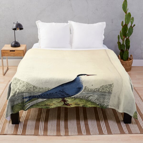 Item preview, British ornithology being the history with a coloured representation of every known species of British birds George Graves 1821 093 designed and sold by WetdryvacRB01.