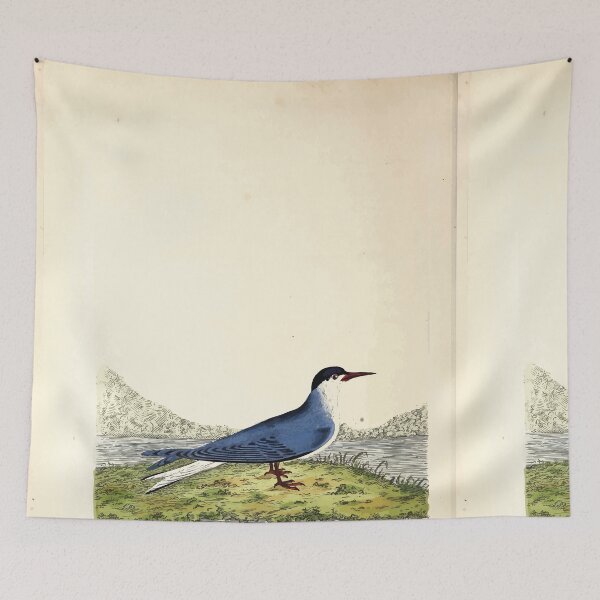Item preview, British ornithology  being the history with a coloured representation of every known species of British birds George Graves 1821 093 designed and sold by WetdryvacRB01.