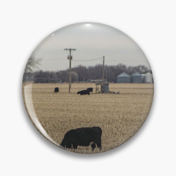 Item preview, Black Cows designed and sold by jbritten.