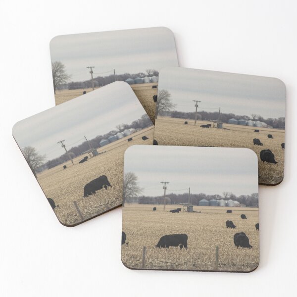 Item preview, Black Cows designed and sold by jbritten.