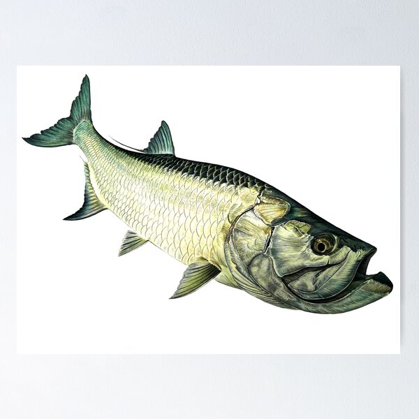 Fishing Pinup Girl - Tarpon-Permit-Bonefish Photographic Print