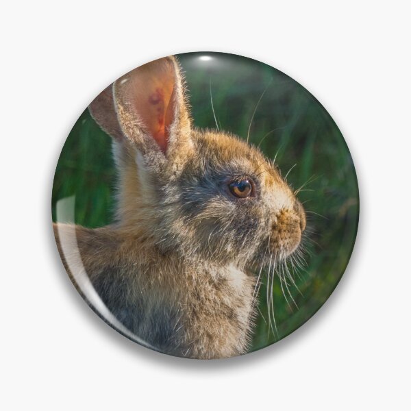 Item preview, Cute wild rabbit designed and sold by Poliphilo.