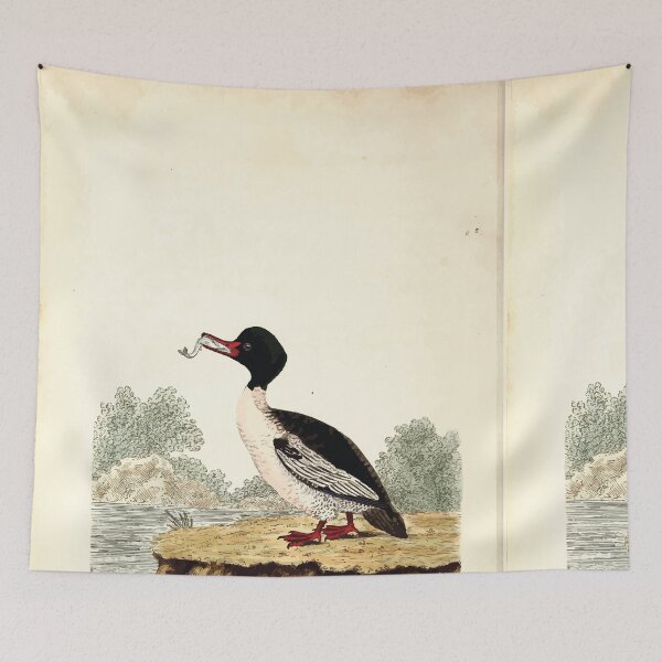 Item preview, British ornithology  being the history with a coloured representation of every known species of British birds George Graves 1821 094 designed and sold by WetdryvacRB01.