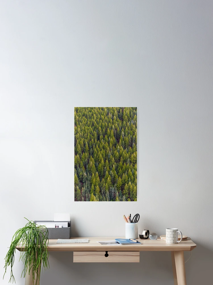 Thumbnail 2 of 3, Poster, Forest designed and sold by Basic310.