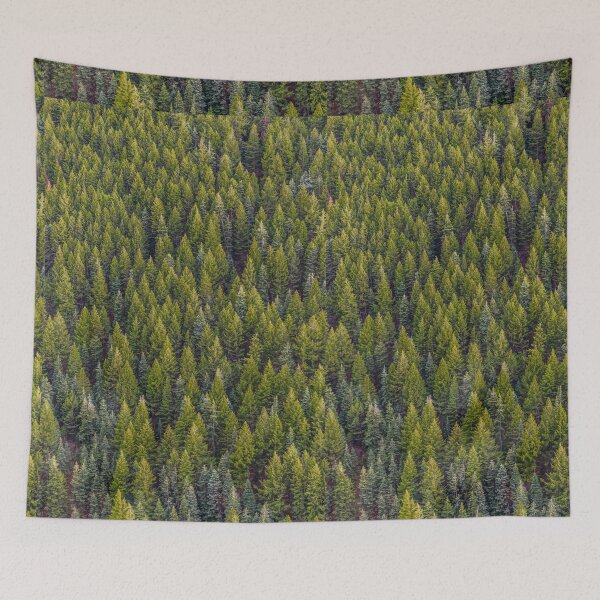 Tapestry