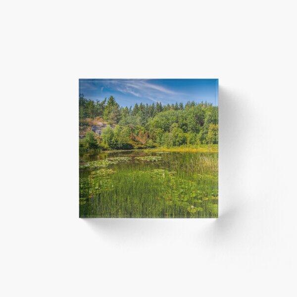 Idyllic lake beneath the cliffs in the woods Acrylic Block