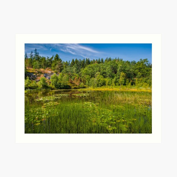 Idyllic lake beneath the cliffs in the woods Art Print