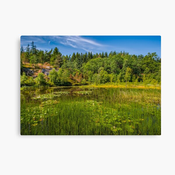 Idyllic lake beneath the cliffs in the woods Canvas Print