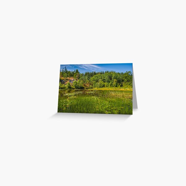 Idyllic lake beneath the cliffs in the woods Greeting Card