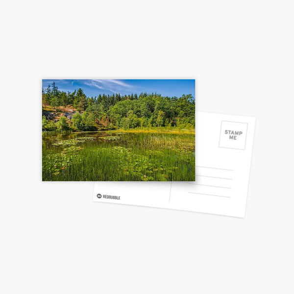 Idyllic lake beneath the cliffs in the woods Postcard