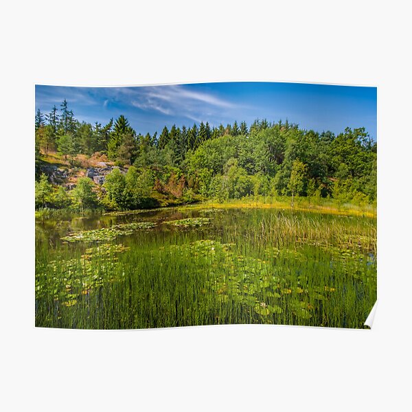 Idyllic lake beneath the cliffs in the woods Poster