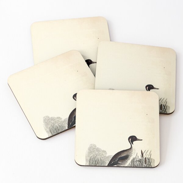 Item preview, British ornithology  being the history with a coloured representation of every known species of British birds George Graves 1821 095 designed and sold by WetdryvacRB01.