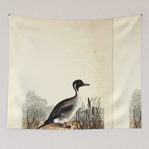 Item preview, British ornithology  being the history with a coloured representation of every known species of British birds George Graves 1821 095 designed and sold by WetdryvacRB01.