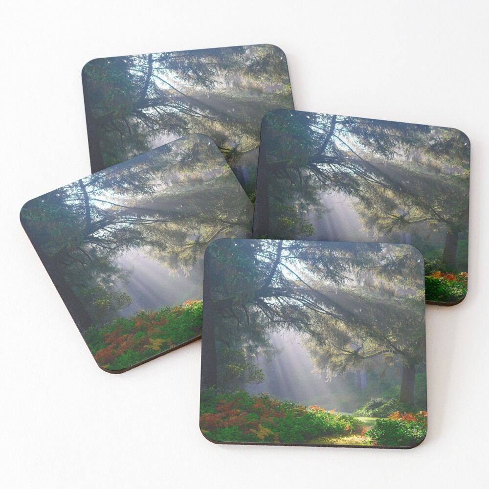 Item preview, Coasters (Set of 4) designed and sold by Basic310.